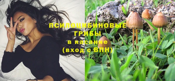 эйфоретик Магас